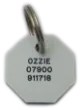 Picture of Octagonal Plastic Dog Tags