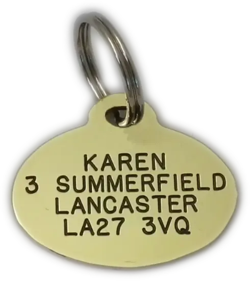 Picture of  Brass Oval Dog Tag (Small)