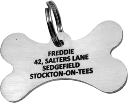 Medium Bone-Shaped Stainless Steel Dog Tag 