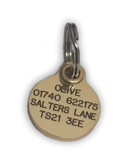 Picture of 20mm (0.8") Diameter Reinforced Brass Dog Tag