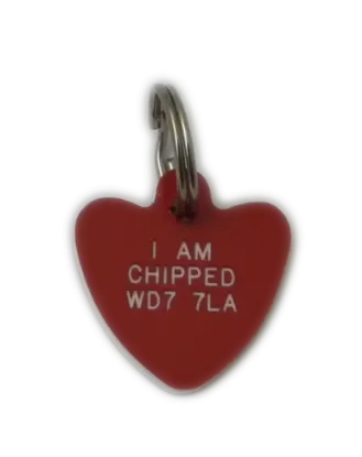 Plastic Heart Pet Tags