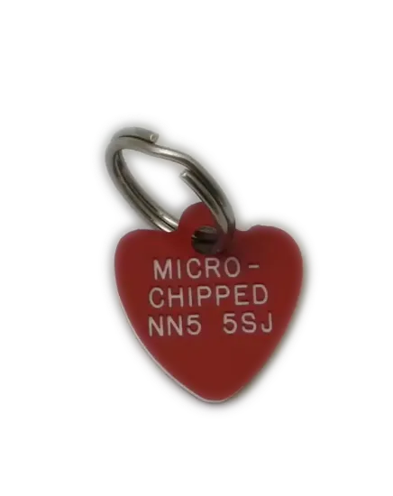 Mini Heart shaped Dog Tags 