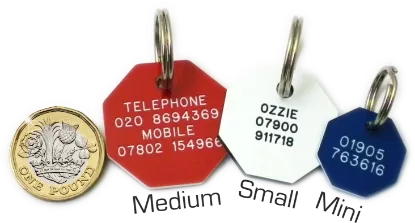 Picture of Octagonal Plastic Dog Tags 