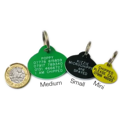 Picture of Oval Plastic Dog Tags