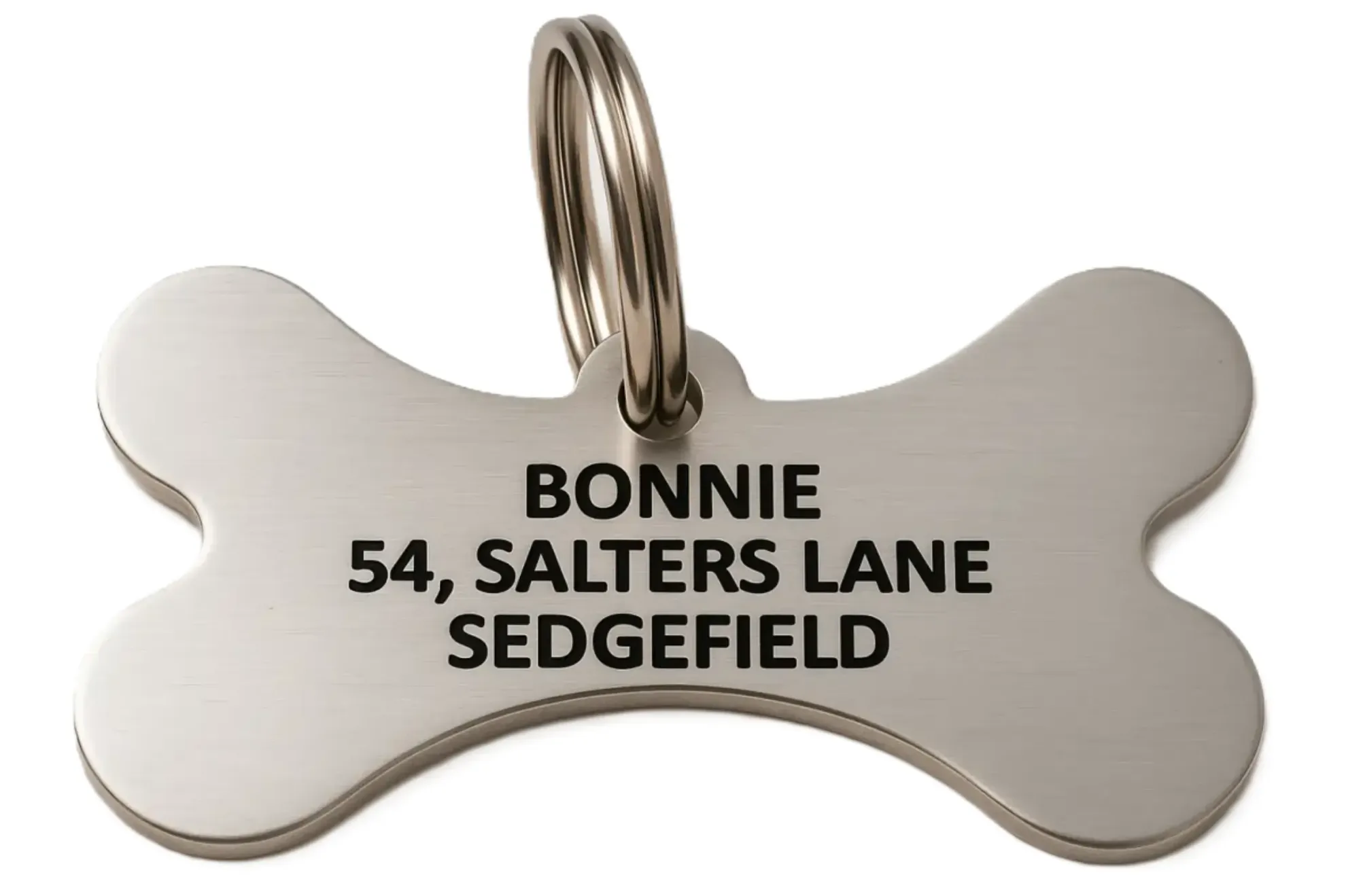 Stainless Steel Pet Tags