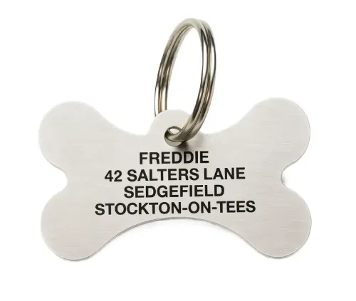 Picture of Stainless Steel Bone Dog ID Tag (Medium)