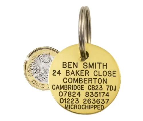 engraved brass pet identitfcation tag