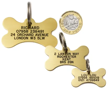Picture of Bone Brass Dog  ID Tags