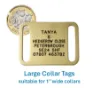 Picture of Collar Brass Dog Tags