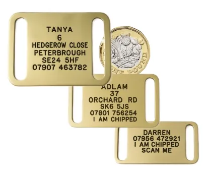 Picture of Collar Brass Dog Tags
