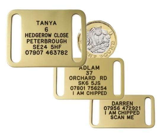 Picture of Collar Brass Dog Tags