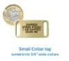 Picture of Collar Brass Dog Tags