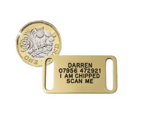 Picture of Brass Collar Dog ID Tags (Small)