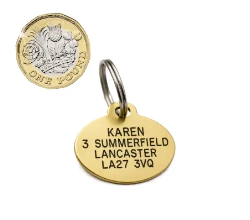 Picture of Brass Oval Dog Tag (Small)