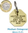 Picture of Brass Octagonal Dog ID Tag (Medium)