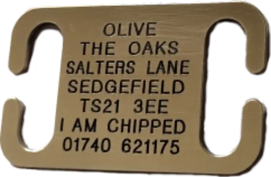 Picture of Open Ended Collar Tag