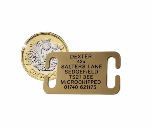 Picture of Open Ended Collar Tag Small