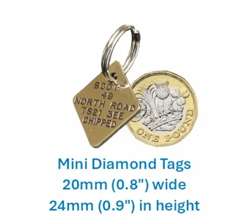 Picture of Brass Diamond Dog Tag (Mini)